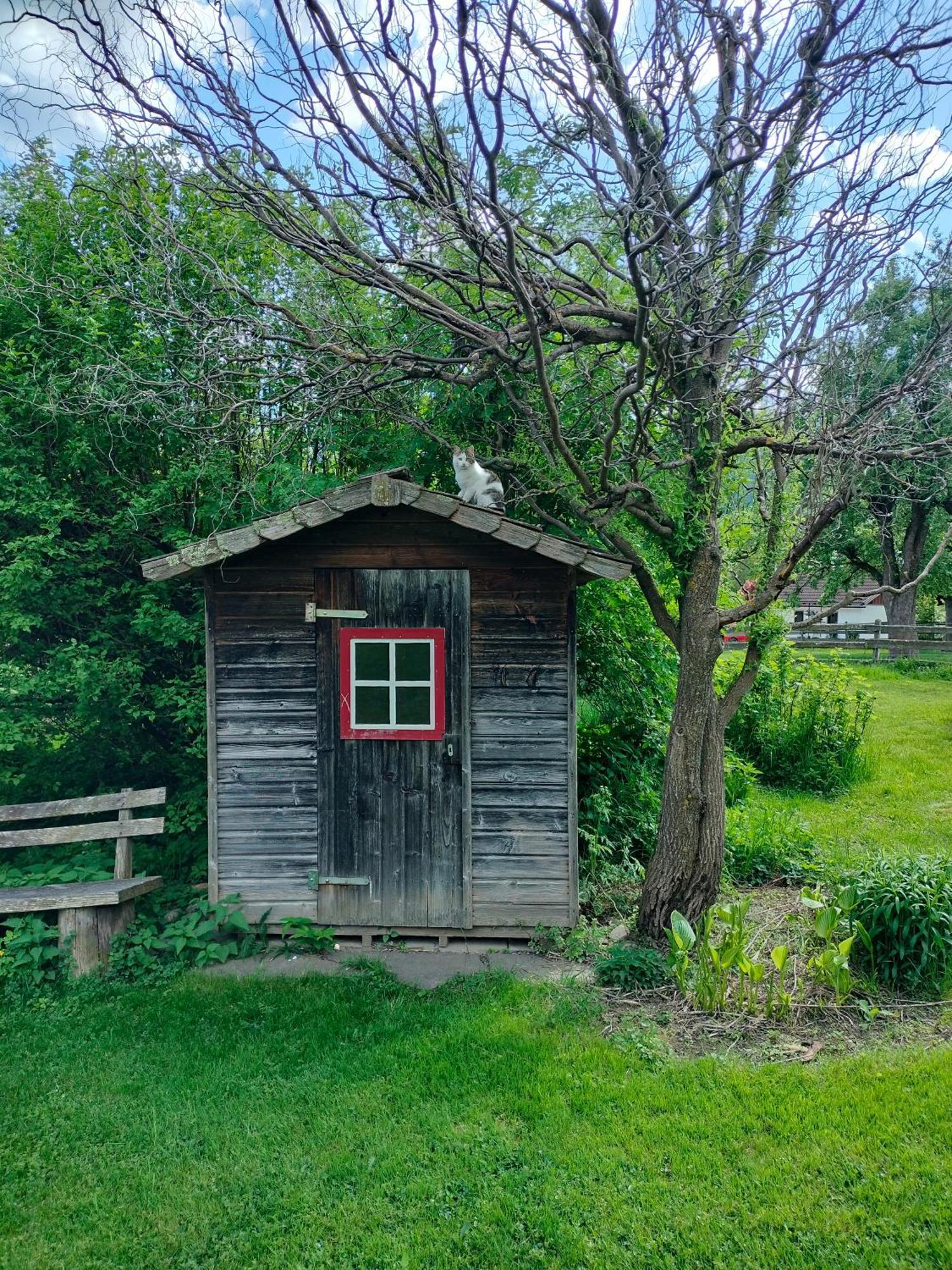 Koestlhof, Familie Hassler Bed & Breakfast Oberdrauburg Exterior foto